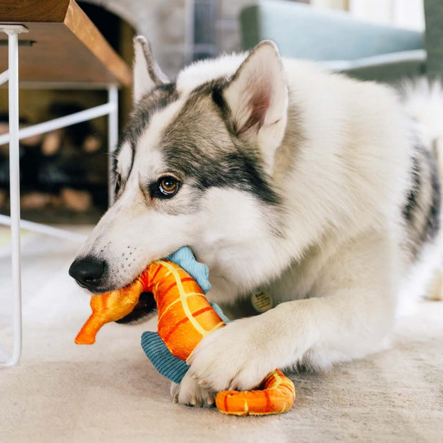 P.L.A.Y. Hundespielzeug Seepferdchen Stoffspielzeug