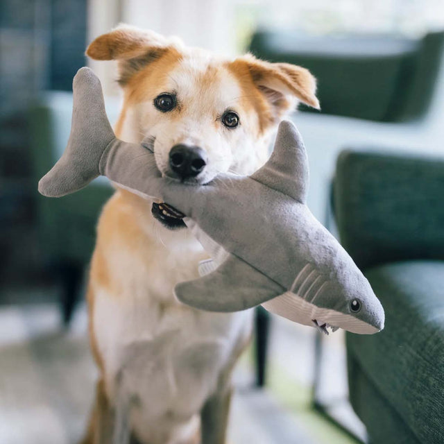 P.L.A.Y. Hundespielzeug Großer Weißer Hai Stoffspielzeug