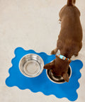 Approved by Fritz Hundehalsband Choco Blue Hundehalsband