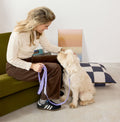 Approved by Fritz Hundehalsband Lilac Grey Hundehalsband