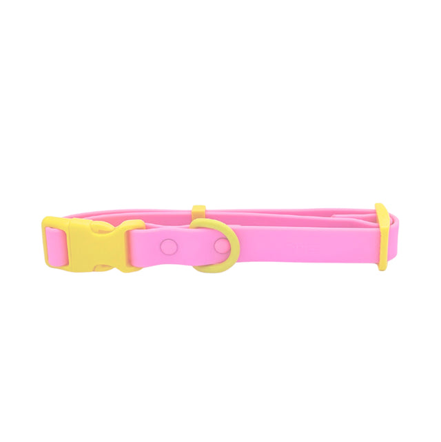 Approved by Fritz Hundehalsband Pink Lemonade Hundehalsband