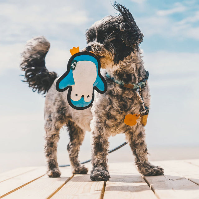 Beco Pets Hundespielzeug Rough & Tough Recycled, Peggy the Penguin Stoffspielzeug