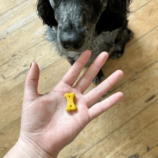 Beco Pets Hundeleckerli Peanut with Coconut & Turmeric Hundeleckerli