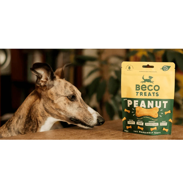 Beco Pets Hundeleckerli Peanut with Coconut & Turmeric Hundeleckerli