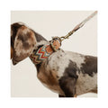 Buddys Dogwear Hundehalsband Naya, Zigzag Hundehalsband