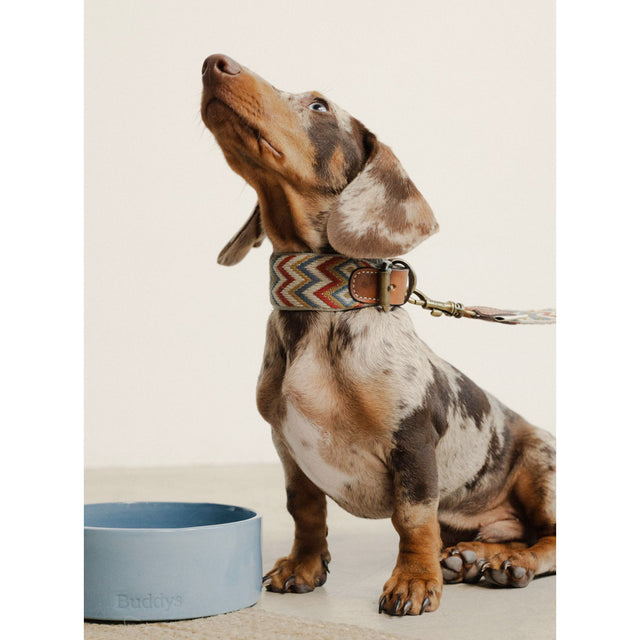 Buddys Dogwear Hundehalsband Naya, Zigzag Hundehalsband