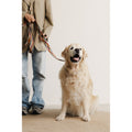 Buddys Dogwear Hundeleine Naya, Puzzle Hundeleine