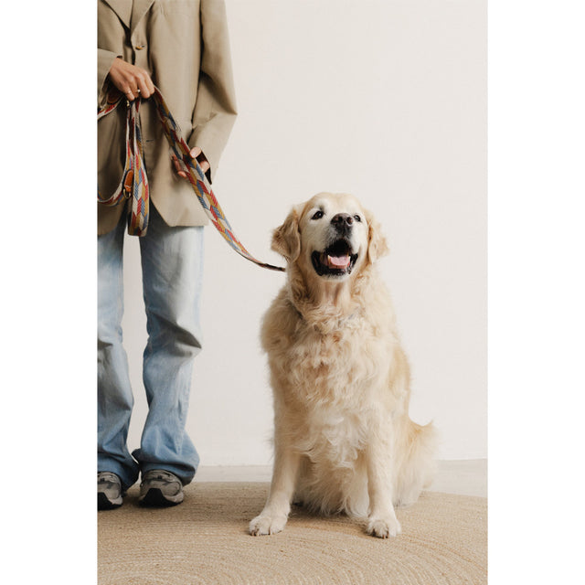 Buddys Dogwear Hundeleine Naya, Puzzle Hundeleine
