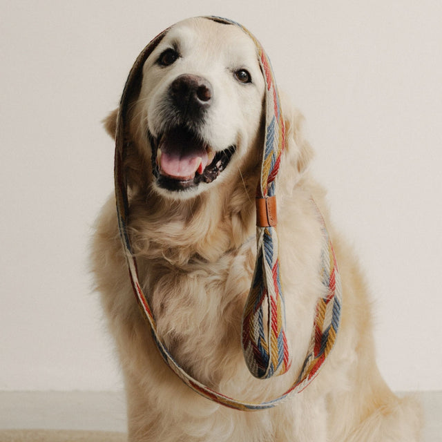 Buddys Dogwear Hundeleine Naya, Puzzle Hundeleine