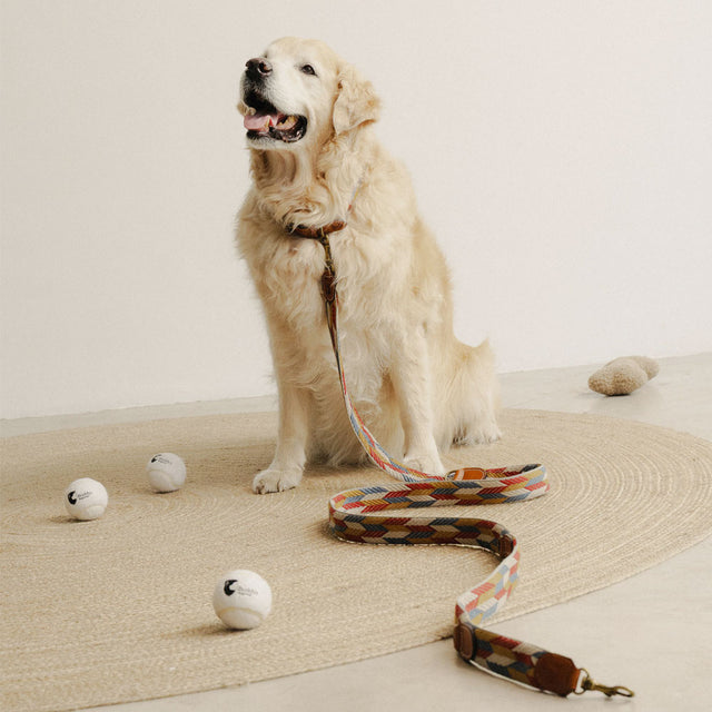 Buddys Dogwear Hundeleine Naya, Puzzle Hundeleine
