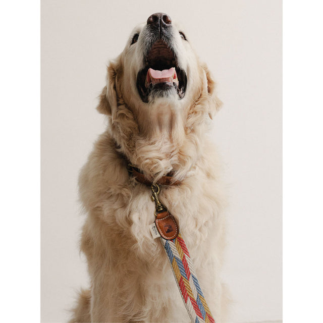 Buddys Dogwear Hundeleine Naya, Puzzle Hundeleine