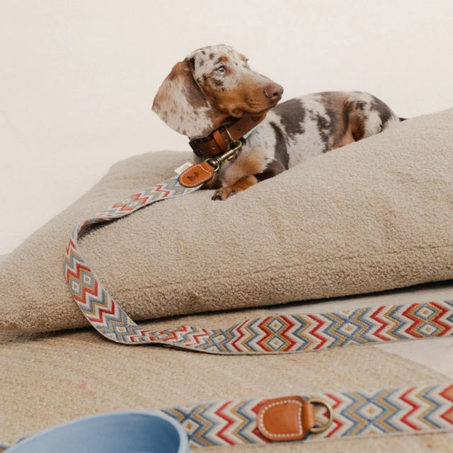 Buddys Dogwear Hundeleine Naya, Zigzag Hundeleine