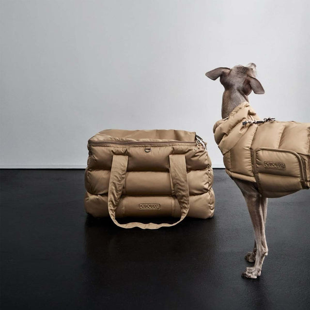 Cloud7 Hundetragetasche Montreal, Sandy Brown Medium Hundetragetasche