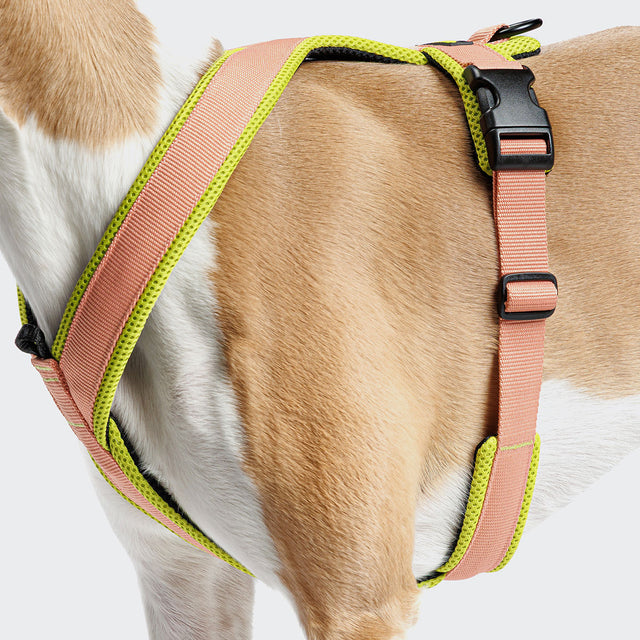 Cloud7 Hundegeschirr Y-1-Aktiv Air-Mesh, Peach Hundegeschirr