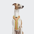 Cloud7 Hundegeschirr Y-1-Aktiv Air-Mesh, Peach Hundegeschirr