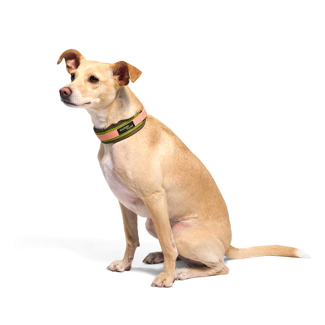 Cloud7 C-1 Zugstopp Halsband Air-Mesh AKTIV, Neon Green/Peach Hundehalsband