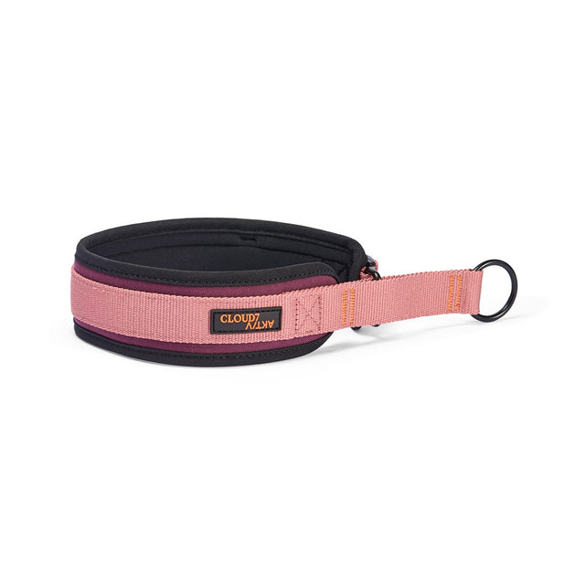 Cloud7 C-1 Zugstopp Halsband AKTIV Softshell, Aubergine/Soft Rose Hundehalsband