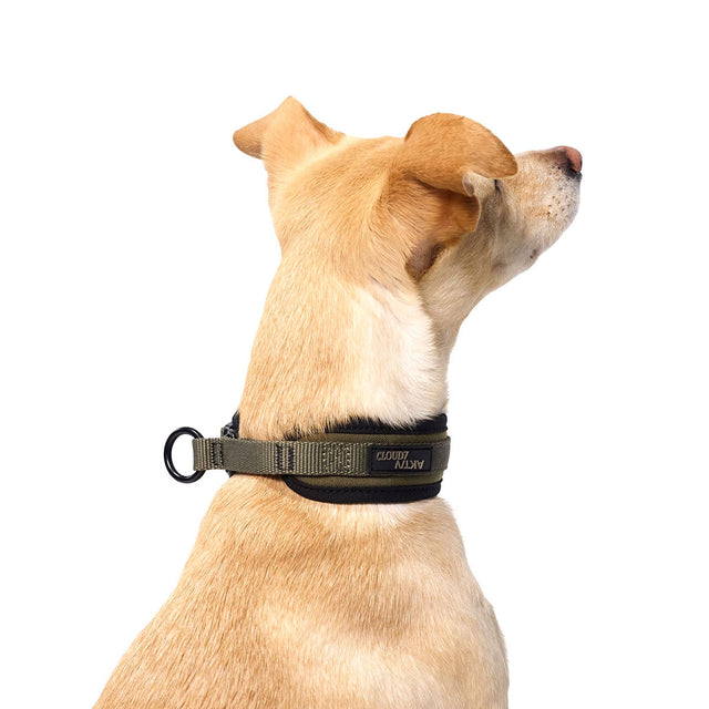 Cloud7 C-1 Zugstopp Halsband AKTIV Softshell, Olive Hundehalsband