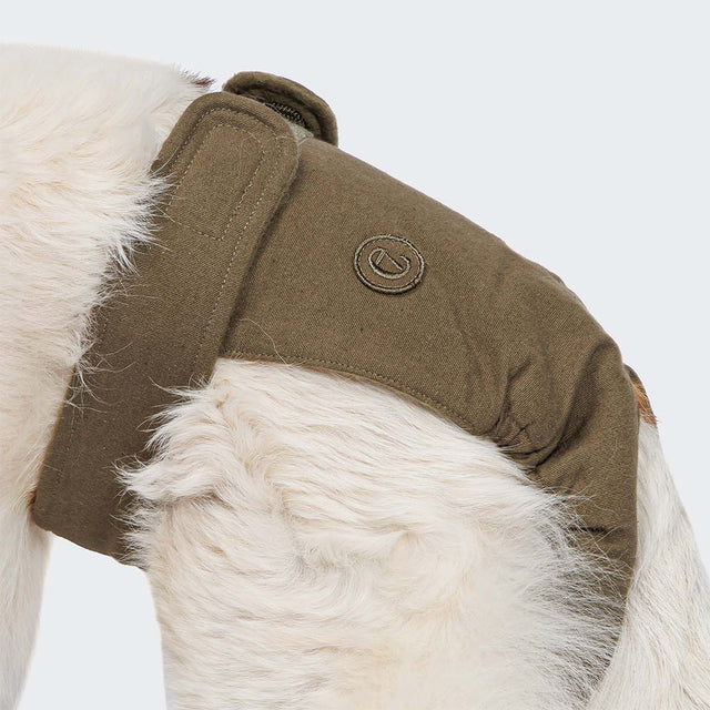 Cloud7 Läufigkeitshöschen, Olive Hundebedarf