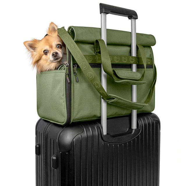 Cloud7 Hundeflugtasche AKTIV, Olive Hundetragetasche