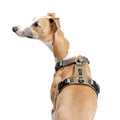 Cloud7 Hundegeschirr Y-Safe Aktiv Cordura, Khaki Hundegeschirr