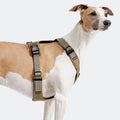 Cloud7 Hundegeschirr Y-Safe Aktiv Cordura, Khaki Hundegeschirr