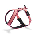 Cloud7 Hundegeschirr Y-1-Aktiv Air-Mesh, Aubergine/Soft Rose Hundegeschirr