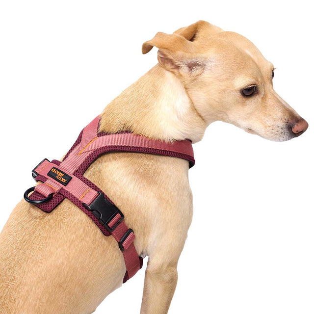 Cloud7 Hundegeschirr Y-1-Aktiv Air-Mesh, Aubergine/Soft Rose Hundegeschirr
