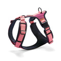 Cloud7 Hundegeschirr Y-3 AKTIV Softshell, Aubergine/Soft Rose Hundegeschirr