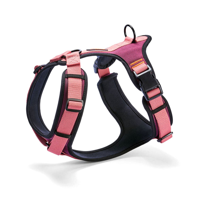 Cloud7 Hundegeschirr Y-3 AKTIV Softshell, Aubergine/Soft Rose Hundegeschirr