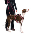 Cloud7 Hundegeschirr Y-3 AKTIV Softshell, Aubergine/Soft Rose Hundegeschirr