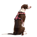 Cloud7 Hundegeschirr Y-3 AKTIV Softshell, Aubergine/Soft Rose Hundegeschirr