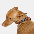 Cloud7 Hundehalsband BioThane Ipanema, Dark Aubergine Hundehalsband