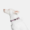 Cloud7 Hundehalsband BioThane Ipanema, Lilac Hundehalsband