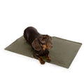 Cloud7 Hundekühlmatte AKTIV Dark Olive Hundebett