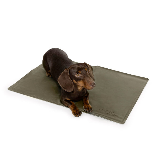 Cloud7 Hundekühlmatte AKTIV Dark Olive Hundebett