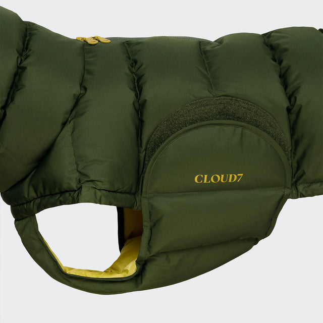 Hundemantel Alaska | Olive Cloud7