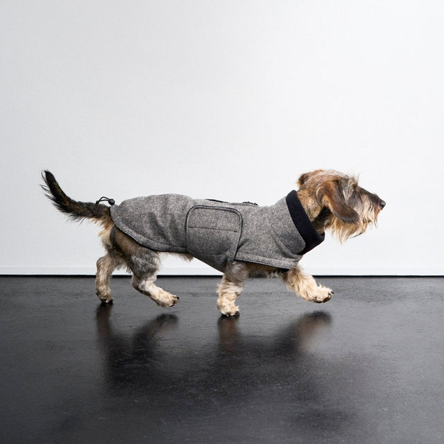 Cloud7 Hundemantel Dackel Brooklyn, Tweed Black Hundewintermantel