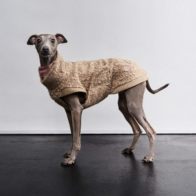 Cloud7 Hundepullover Gotland, Sandy Brown Hundepullover