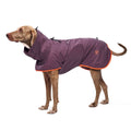 Cloud7 Hunderegenmantel AKTIV Aubergine/Orange Hunderegenmantel