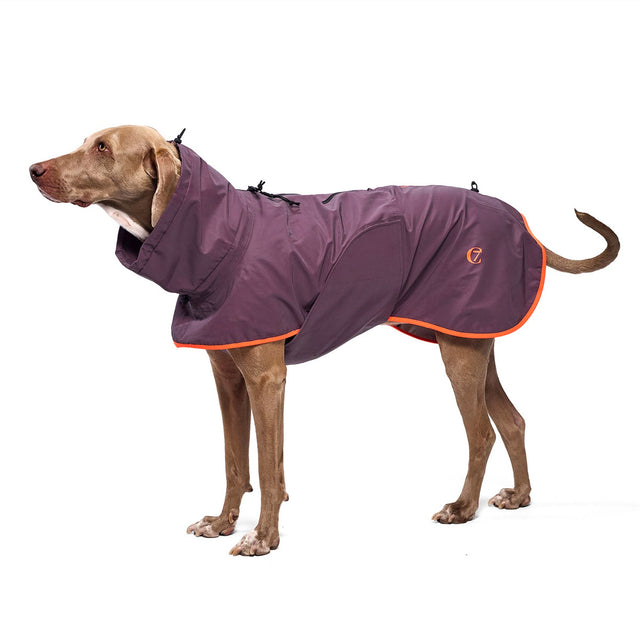 Cloud7 Hunderegenmantel AKTIV Aubergine/Orange Hunderegenmantel