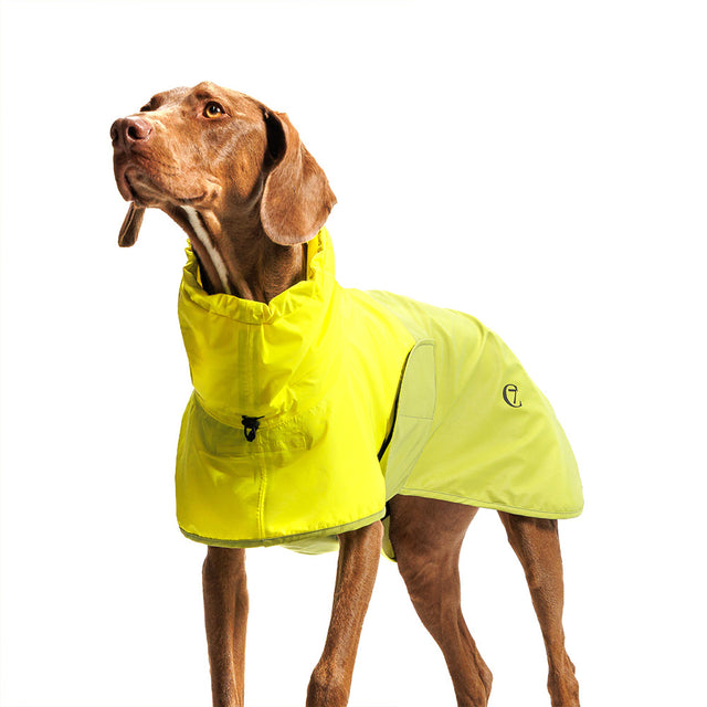 Cloud7 Hunderegenmantel AKTIV Neon Green/Light Olive Hunderegenmantel