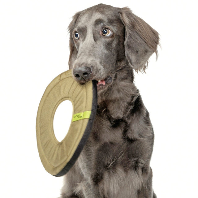 Cloud7 Hundespielzeug Frisbee AKTIV Khaki Wurfspielzeug