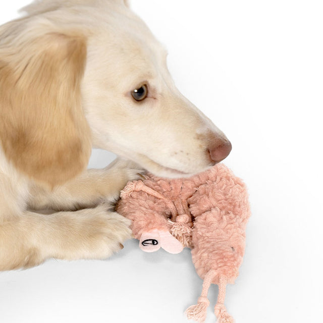 Cloud7 Hundespielzeug LTTL Shrimp Susi Hundespielzeug