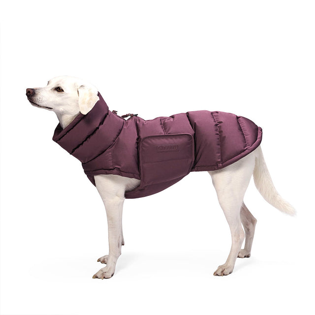 Cloud7 Wintermantel Alaska, Dark Aubergine Hundewintermantel
