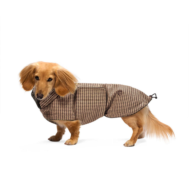 Cloud7 Hundemantel Dackel Brooklyn, Houndstooth Hundewintermantel