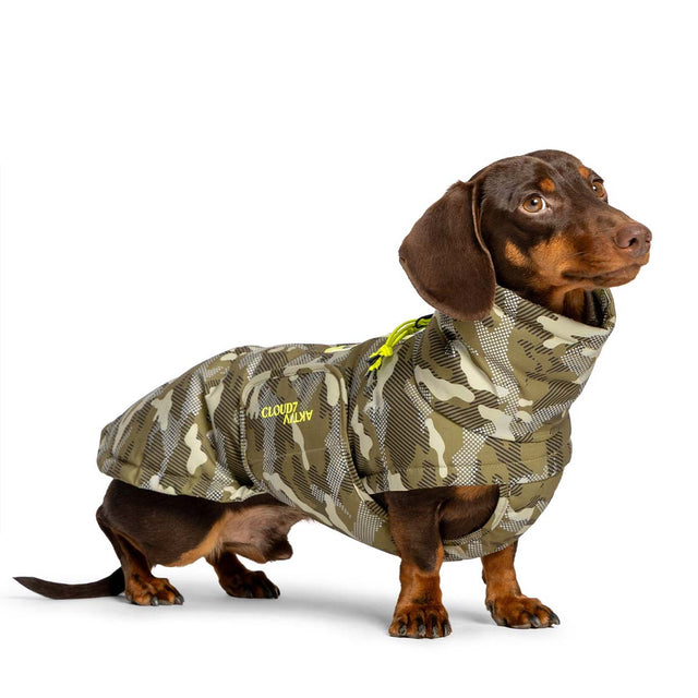 Wintermantel Dackel Alaska AKTIV CAMO