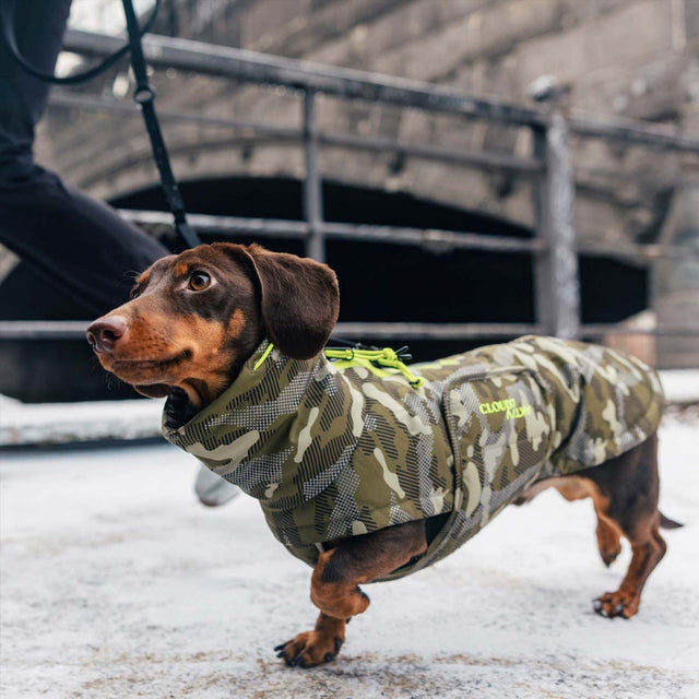Wintermantel Dackel Alaska AKTIV CAMO