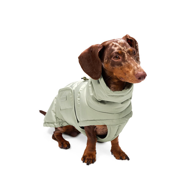 Cloud7 Hundemantel Dackel Alaska, Dusty Mint Hundewintermantel