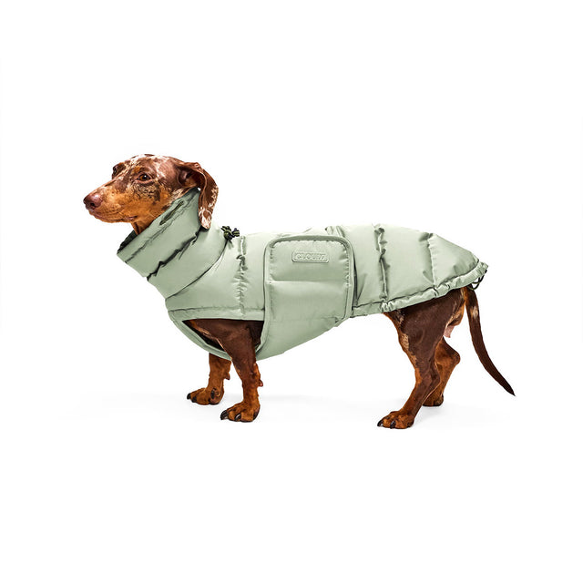 Cloud7 Hundemantel Dackel Alaska, Dusty Mint Hundewintermantel